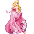 Sleeping Beauty - Aurora s Pink Elegance Party Balloon Kit For Discount