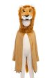 Storybook Lion Cape Online