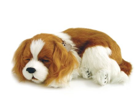 09Original - Cavalier King Charles Online Hot Sale