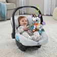 VTech On The Go Zebra + Rattle & Shake Birdie - Bundle Hot on Sale