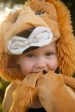 Storybook Lion Cape Online