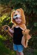 Storybook Lion Cape Online